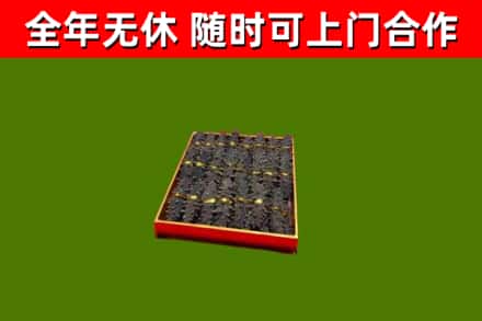 浮山县回收海参